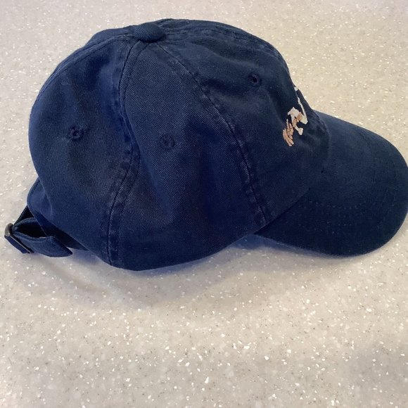 Nelson Design Group NDG Baseball Cap Blue Adjustable Back Hat - Picture 4 of 7